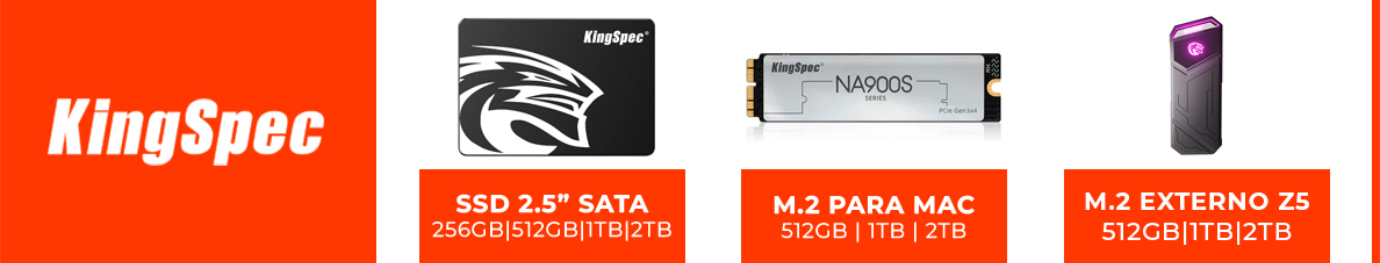 KingSpec